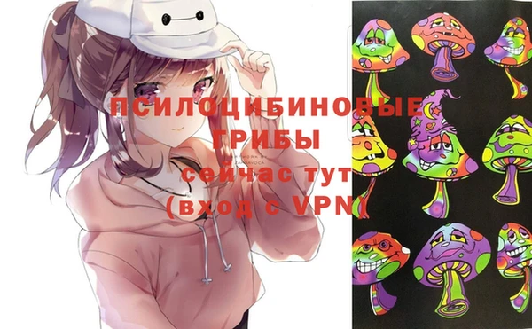 гашик Тутаев