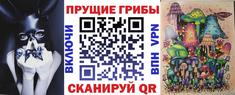 Купить закладки  Чёрмоз  Галлюциногенные грибы Psilocybine cubensis 